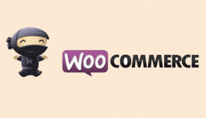 Woo-commerce Plugins