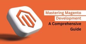Mastering Magento Development